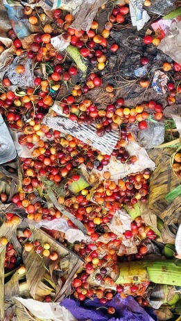 Wasted fruits