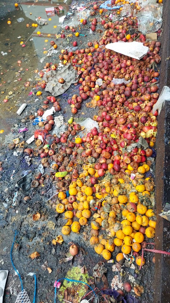 Discarded fruits